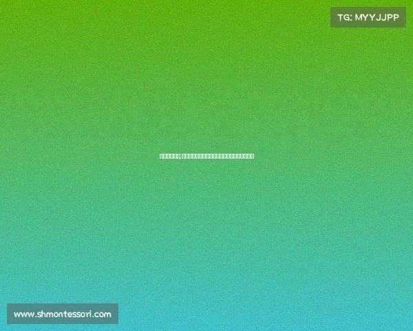 赛事人员安排,赛事接待日程全程规划实施与优化管理策略指南