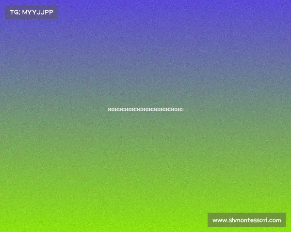 赛事程序、赛事规程示例精选汇编权威指南全面详解赛事规则实践应用