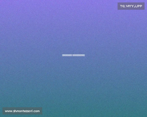 网球比赛赛事报道 网球比赛赛事报道范文